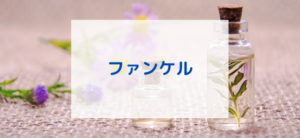 【毎日更新】ファンケルオンラインはどのポイントサイト経由が一番お得か！