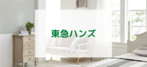 【毎日更新】東急ハンズネットストアはどのポイントサイト経由が一番お得か！