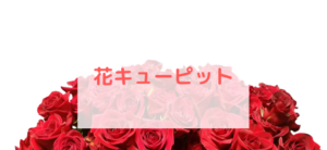 【毎日更新】花キューピットはどのポイントサイト経由が一番お得か！