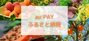 【毎日更新】au PAYふるさと納税はどのポイントサイト経由が一番お得か！