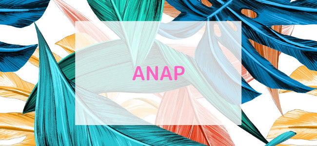 【毎日更新】ANAPはどのポイントサイト経由が一番お得か！