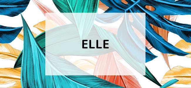 【毎日更新】ELLE SHOPはどのポイントサイト経由が一番お得か！