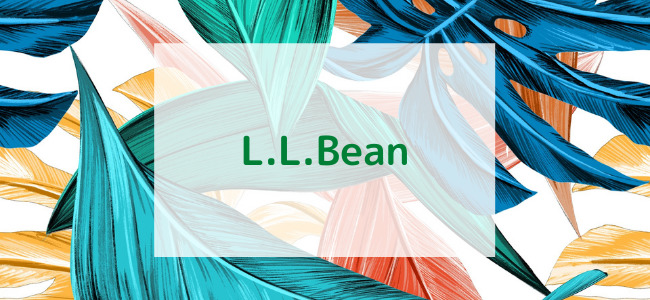 【毎日更新】L.L.Beanはどのポイントサイト経由が一番お得か！