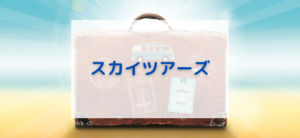 【毎日更新】スカイツアーズはどのポイントサイト経由が一番お得か！