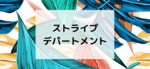 【毎日更新】ストライプデパートメントはどのポイントサイト経由が一番お得か！