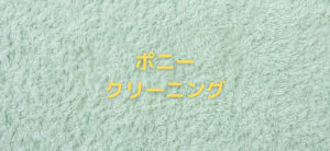 【毎日更新】ポニークリーニングはどのポイントサイト経由が一番お得か！