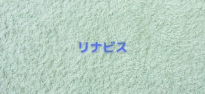 【毎日更新】リナビス／クリーニングはどのポイントサイト経由が一番お得か！