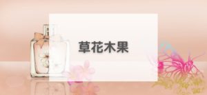 【毎日更新】草花木果はどのポイントサイト経由が一番お得か！