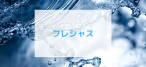 【毎日更新】フレシャスはどのポイントサイト経由が一番お得か！
